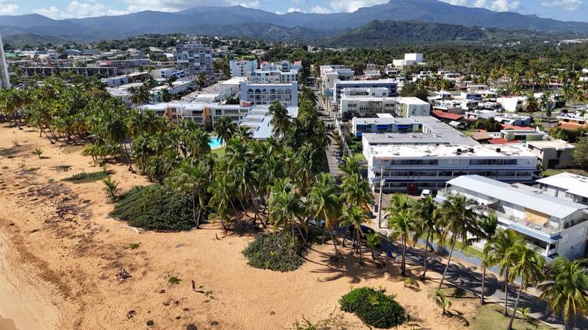 Aerial view of Luquillo: houses, palm trees and the beach, with the mountains behind